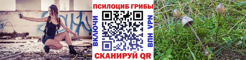 гидра как зайти где продают Козловка Галлюциногенные грибы Cubensis